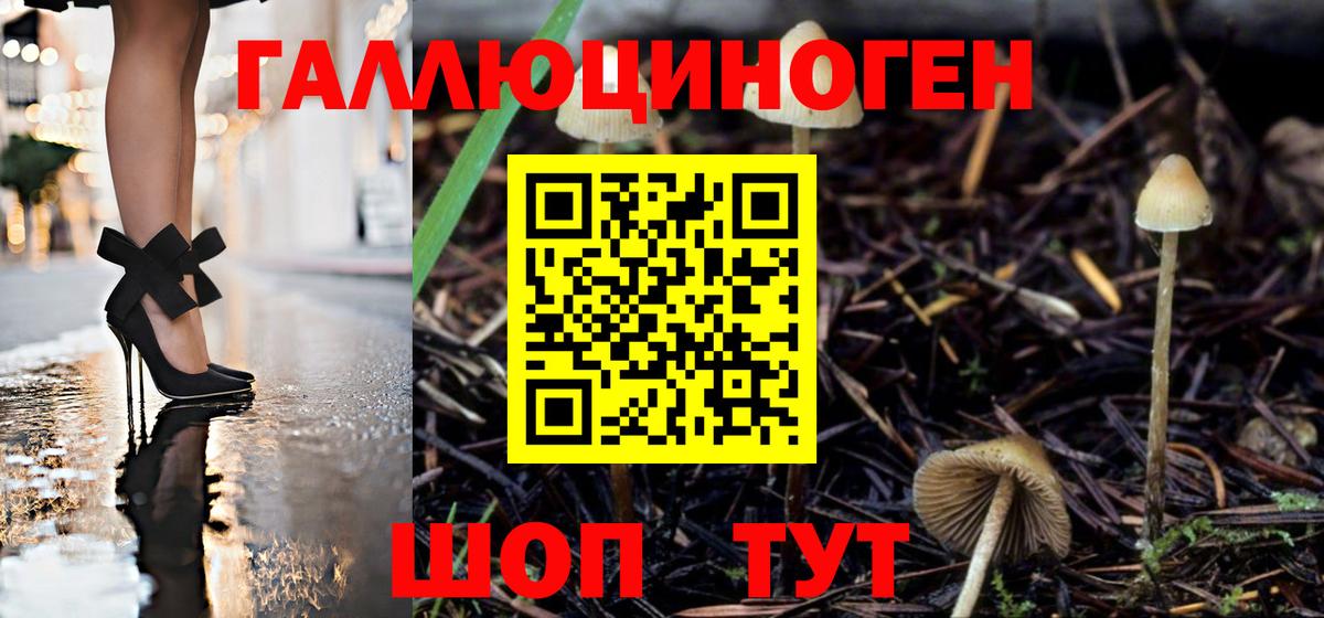 Ростов-на-Дону  Псилоцибиновые грибы GOLDEN TEACHER  Вход с VPN 
