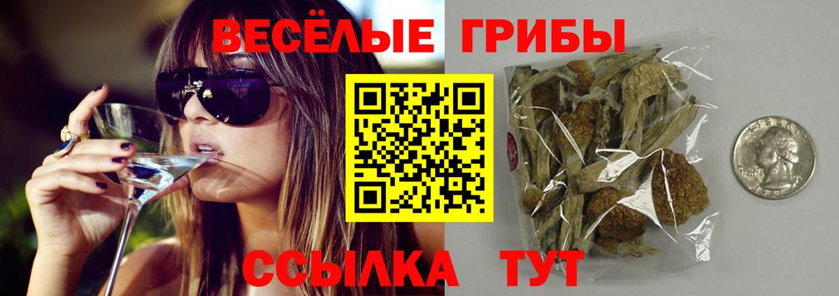 Галлюциногенные грибы Psilocybine cubensis Ростов-на-Дону